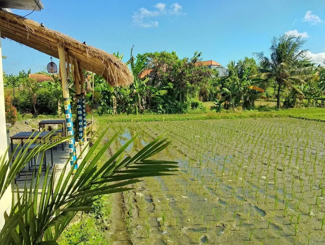 Puri Ume Dewi Private Villa With 3 Room Indonesia